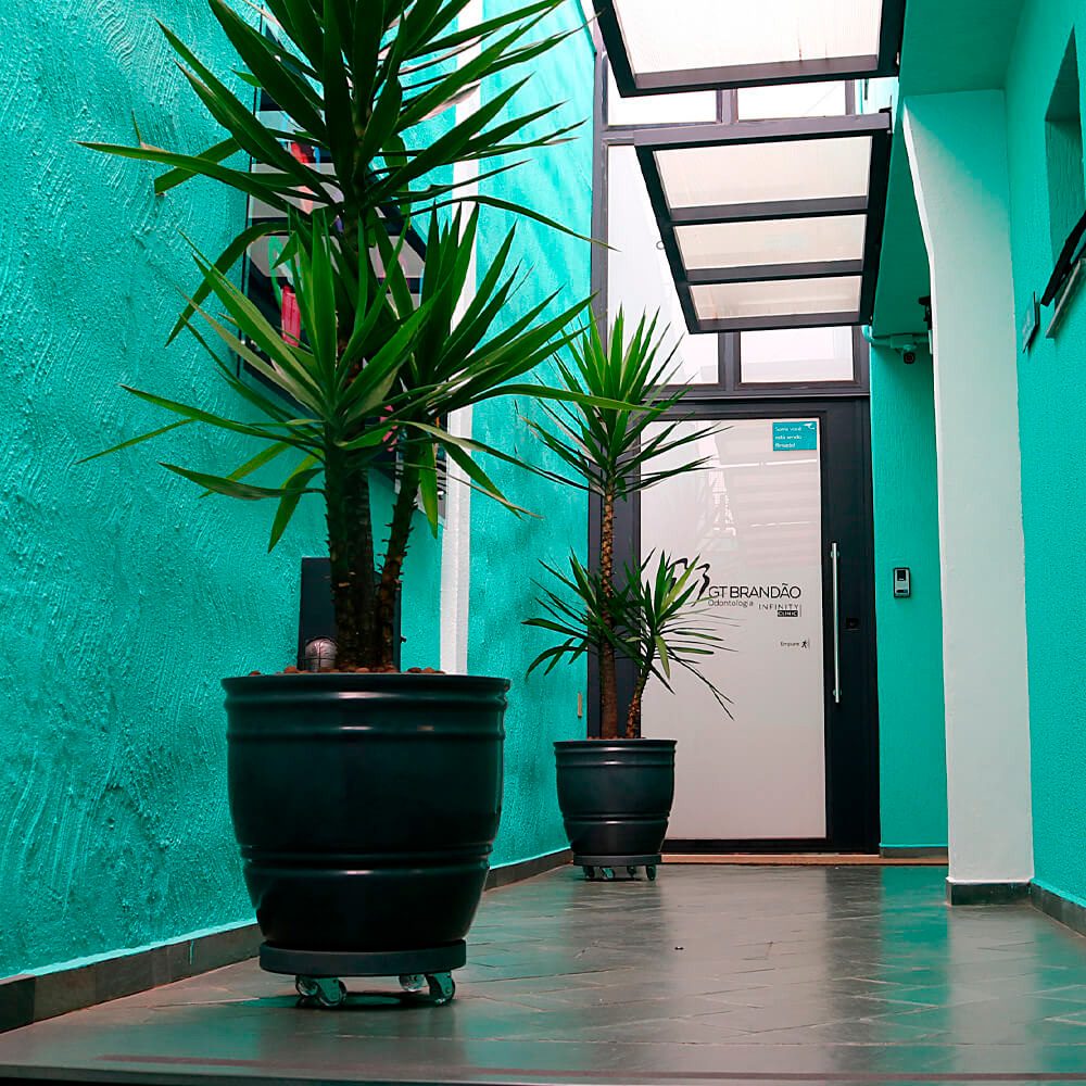 Clínica Odontológica -Cachoeirinha - SP